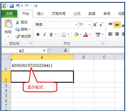 正常显示格式