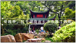 图片上显示输入的文字