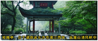 文字处于图片的下方
