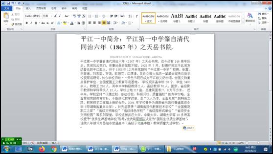 复制到word中的文档