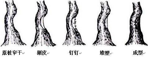 ��׮(������)����¡�ɷ�