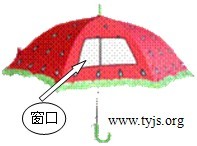 伞面上有用于观察的透明窗口的雨伞