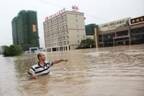 我国有些城市屡受暴雨灾害