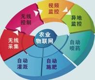 物联网新型信息化集成技术